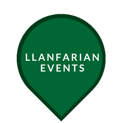 LLanfarian Border Collie Events - Llanfarian Events 