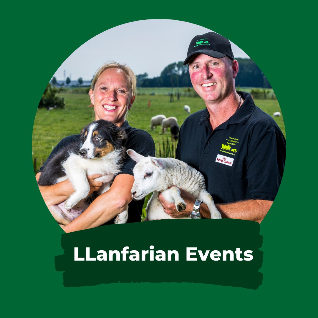 LLanfarian Border Collie Events - LLanfarian Events - Ellen & Serge van der Zweep